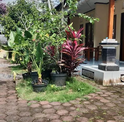 House Market * サイドメン